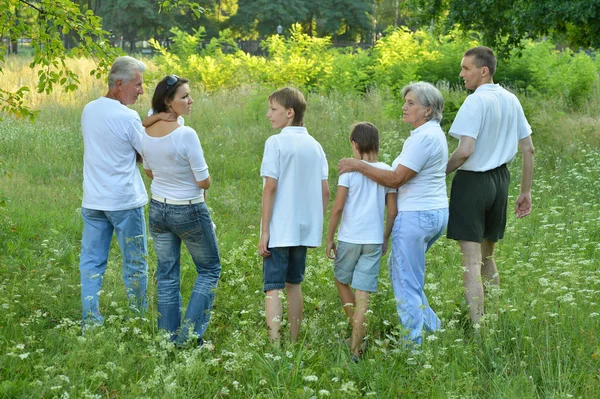 Big family in a park — Stock Photo, Image