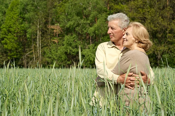 Old couple in the field — Stock Photo, Image