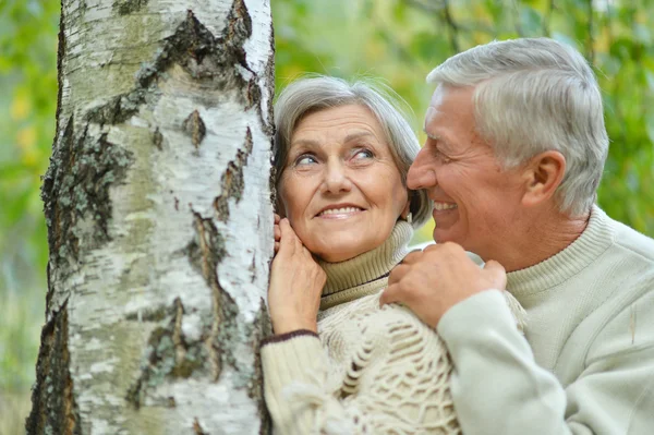 Senior koppel in bos — Stockfoto