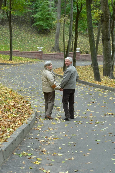 Старая пара в парке — стоковое фото