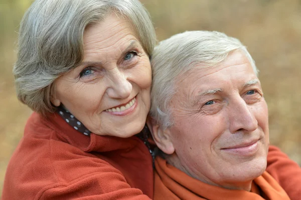 Senior couple  in park — Stock Photo, Image