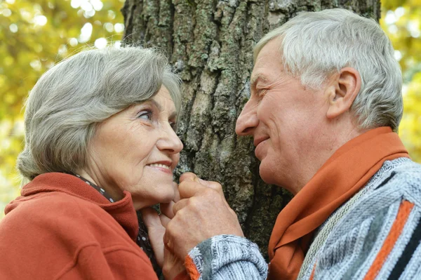 Ηλικιωμένο ζευγάρι στο πάρκο — Φωτογραφία Αρχείου