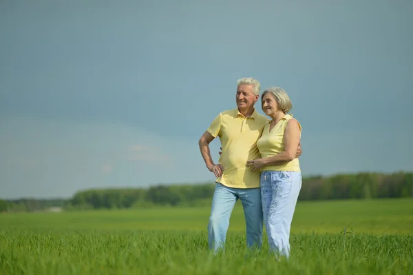 Senior couple  in  field — Stock Photo, Image