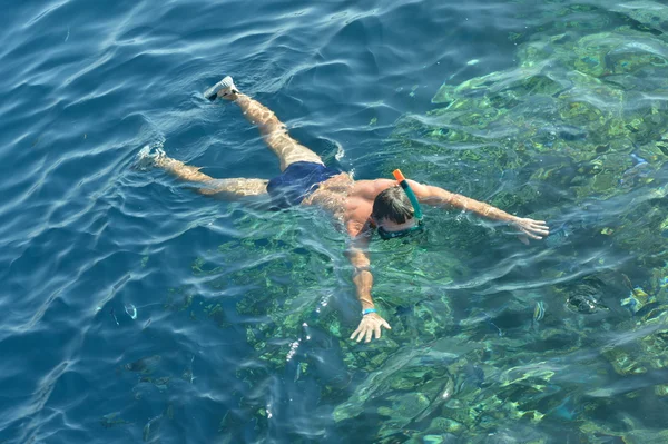 Mergulhador nadando no mar — Fotografia de Stock