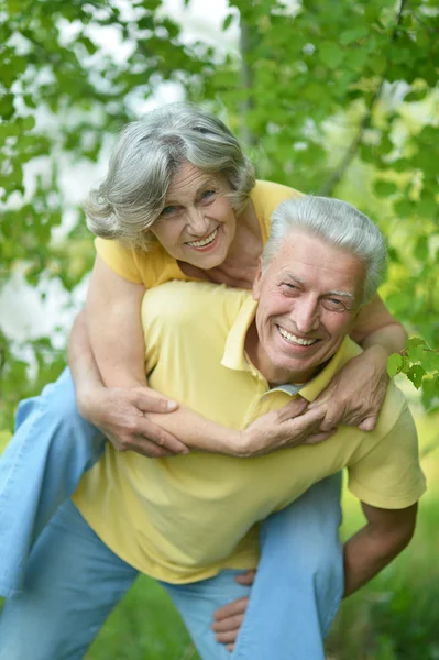 Seniorenpaar in park — Stockfoto