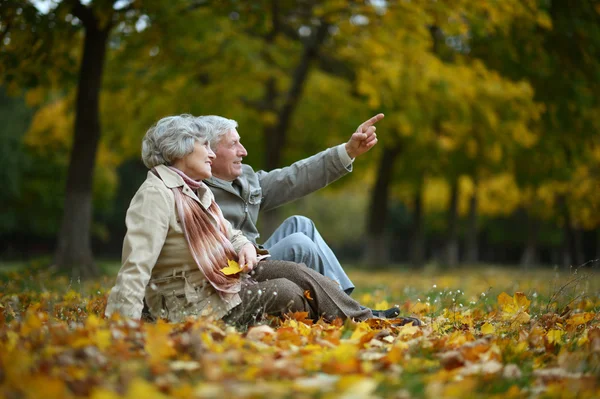 Seniorenpaar im Herbst — Stockfoto