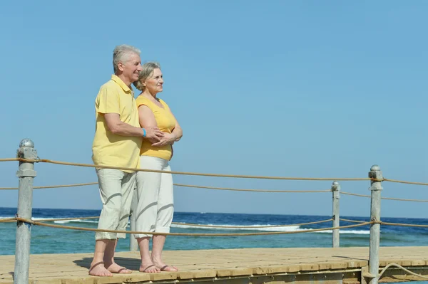 Pareja mayor mirando un mar — Foto de Stock