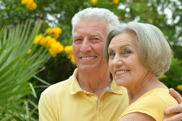 Liefdevolle ouderling paar — Stockfoto