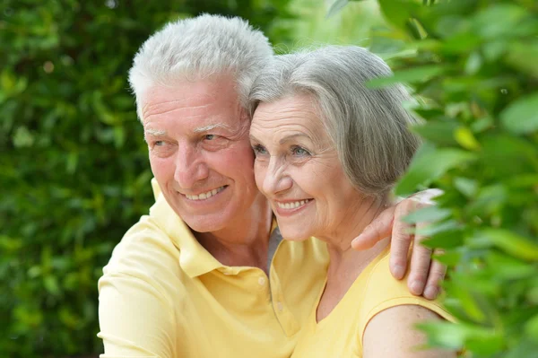 Senior paar in park — Stockfoto