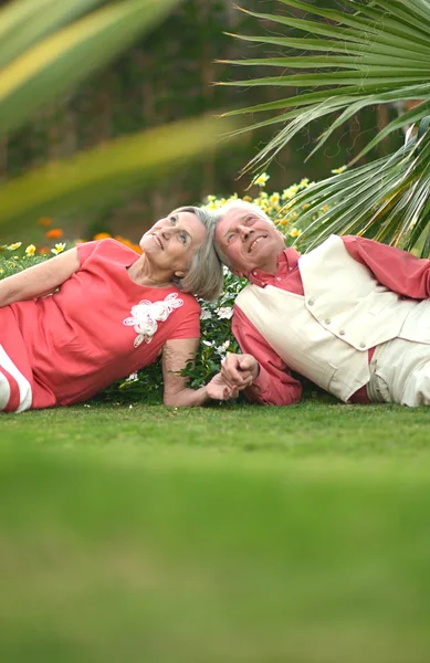 Feliz pareja de ancianos —  Fotos de Stock