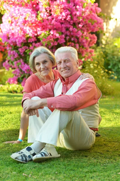 Mutlu bir yaşlı çift — Stok fotoğraf