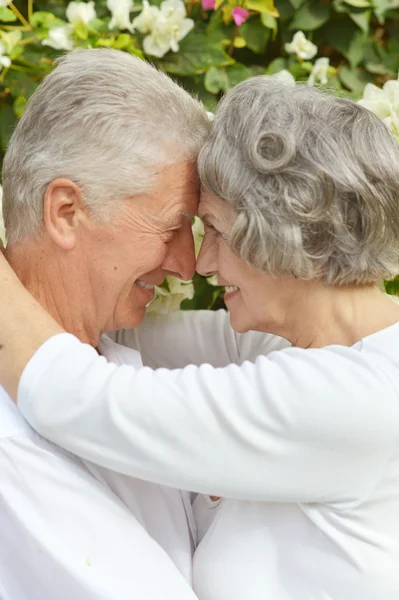 Feliz pareja de ancianos —  Fotos de Stock