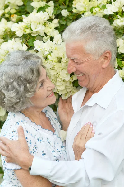 Feliz pareja de ancianos —  Fotos de Stock