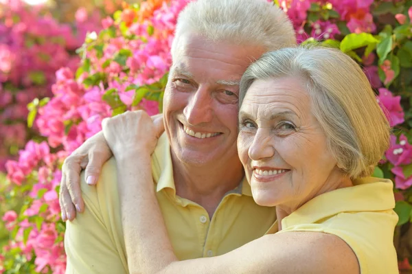 Feliz pareja de ancianos —  Fotos de Stock