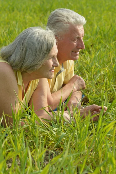 Senior couple  in  field — Stock Photo, Image