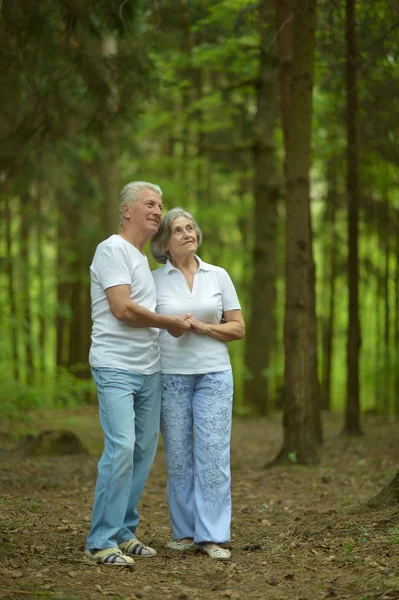 Old couple at forest — Stock Photo, Image