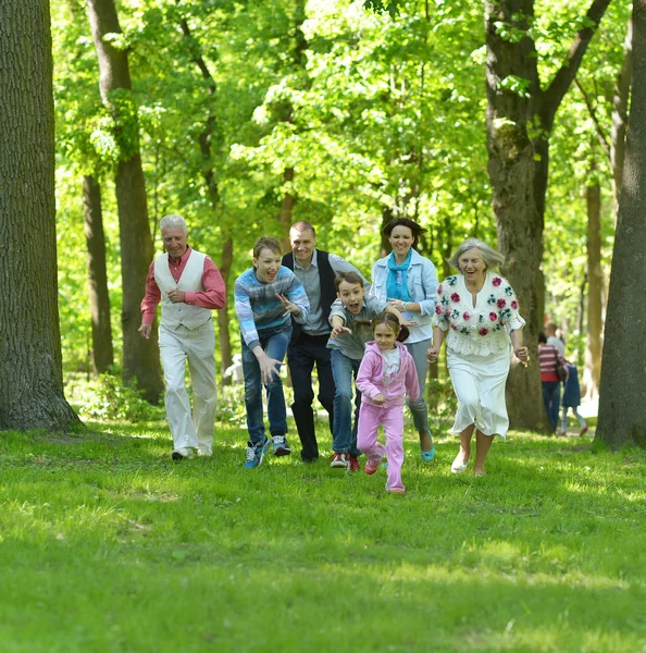 Семейная прогулка в парке — стоковое фото