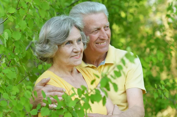 Senior couple in park — Stock Photo, Image