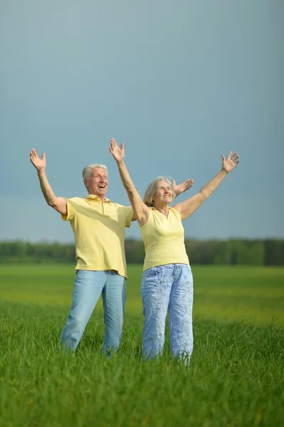 Seniorenpaar im Feld — Stockfoto