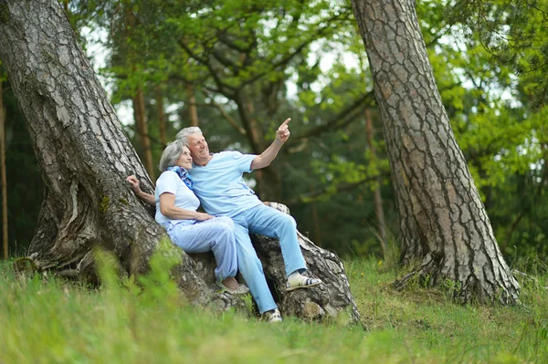Idősebb pár ül az erdő — Stock Fotó