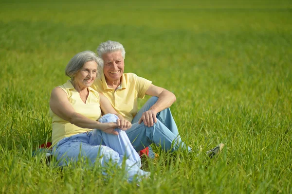 Old couple in     field — Stock Photo, Image