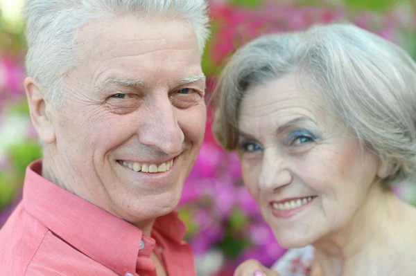 Feliz casal mais velho — Fotografia de Stock