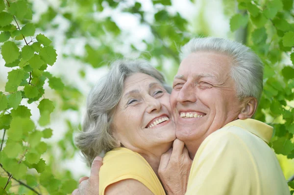 Seniorenpaar in park — Stockfoto