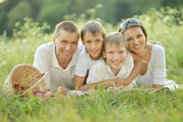 Family on   picnic — Stock Photo, Image