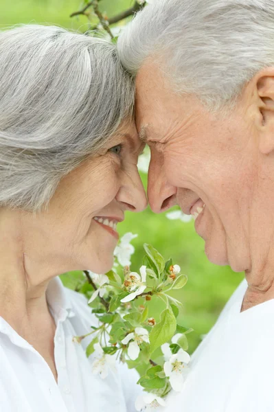 Seniorenpaar in park — Stockfoto