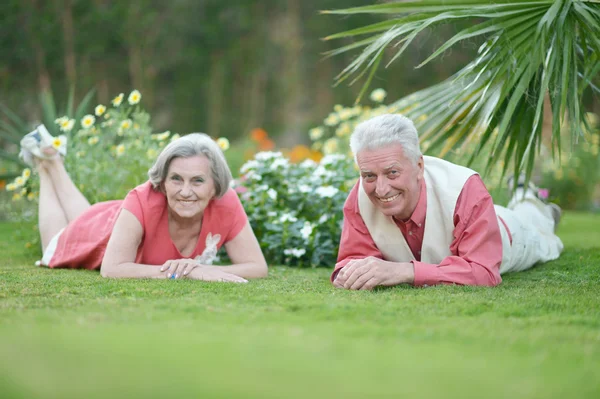 Pareja mayor en la naturaleza —  Fotos de Stock