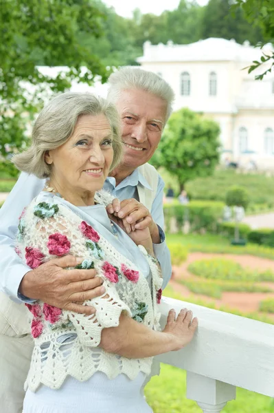 Пожилая пара в летнем парке — стоковое фото