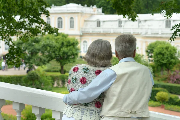 Elderly couple in summer park — Stock Photo, Image
