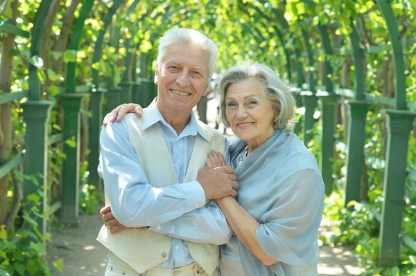 Пожилая пара в летнем парке — стоковое фото