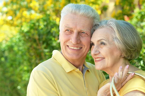 Elderly couple in summer park — Stock Photo, Image