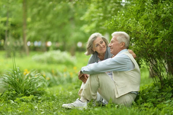 Äldre par i sommaren park — Stockfoto