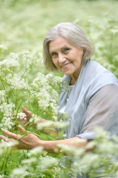 Donna in prato — Foto Stock