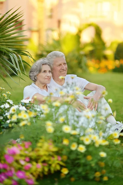 草の上の高齢者のカップル — ストック写真