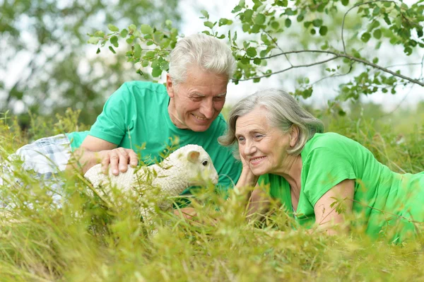 Couple  with toy sheep — Stock Photo, Image