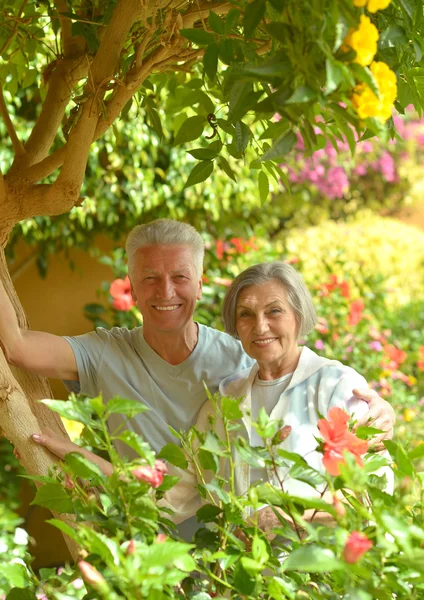 Äldre par på resort — Stockfoto