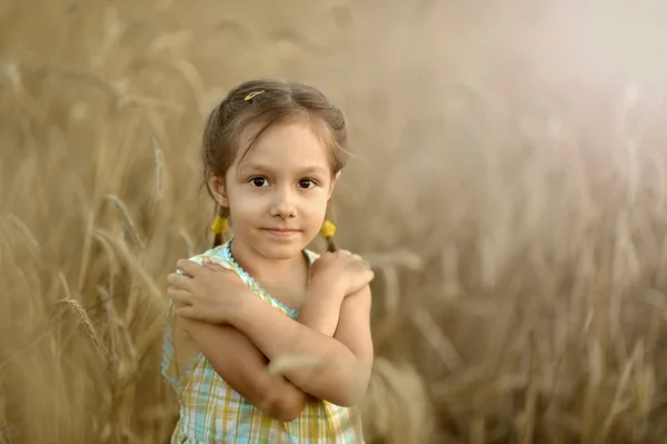 Cute girl in field — Stock Photo, Image