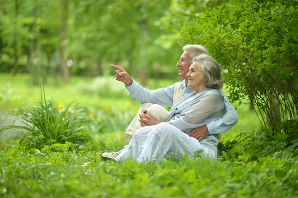 Çimlerde oturan yaşlı çift — Stok fotoğraf