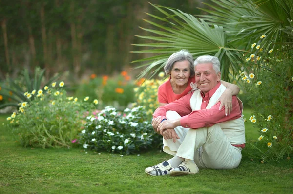 Pary staruszków siedzi na trawie — Zdjęcie stockowe