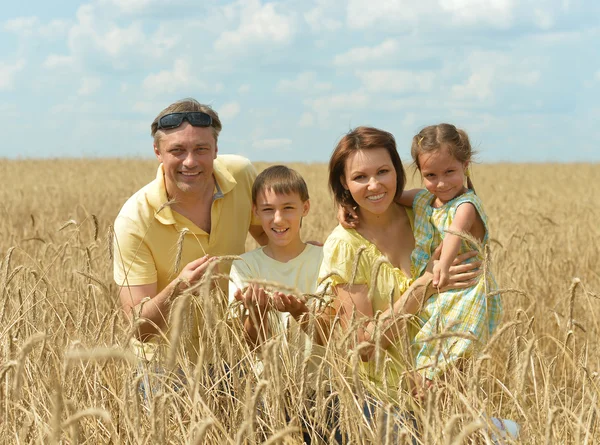 Buğday alan aile ayakta — Stok fotoğraf