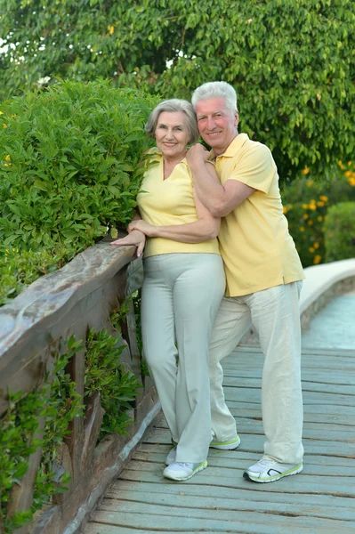 Elderly couple on the walk — Stock Photo, Image