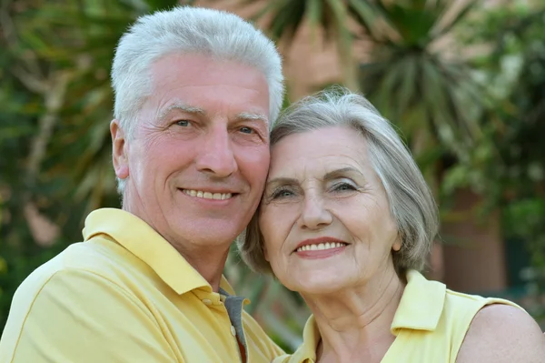 Elderly couple on palm leaves background — Stock Photo, Image