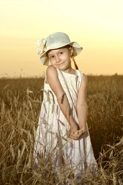 Kleines Mädchen im Weizenfeld — Stockfoto