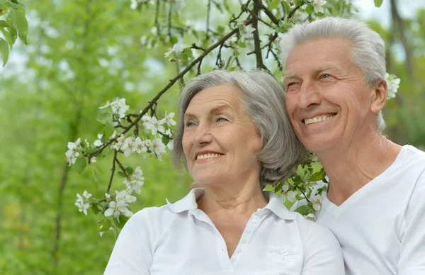 Glückliches Seniorenpaar im Freien — Stockfoto