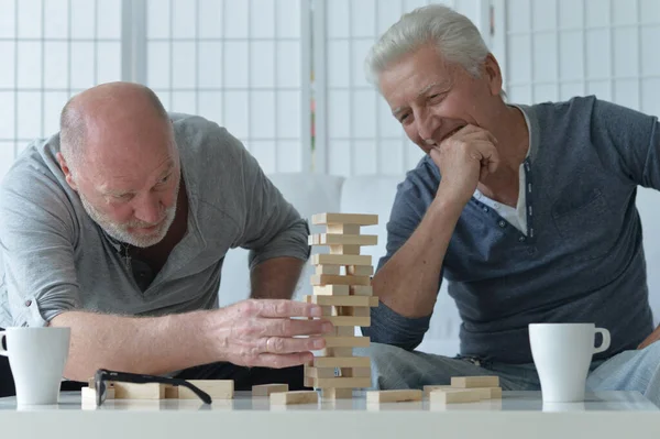 Deux Hommes Âgés Assis Table Jouant Avec Des Blocs Bois — Photo