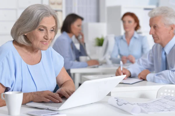 Senior Business Žena Pracující Notebookem Moderní Lehké Kanceláři — Stock fotografie