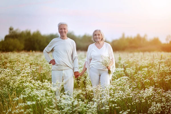 Happy Senior Couple Holding Hands Summer Park — Fotografia de Stock